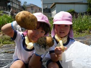 大きなじゃがいもがほれて喜んでいる写真