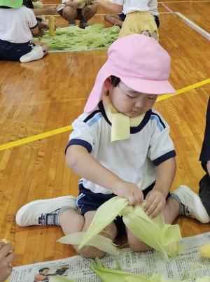 とうもろこしの皮をむいている写真