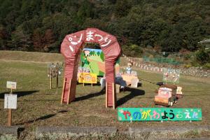 かがし写真