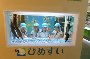 水族館で集合写真を撮っているところ