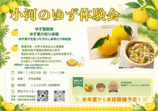 小河のゆず体験会 参加者募集チラシ