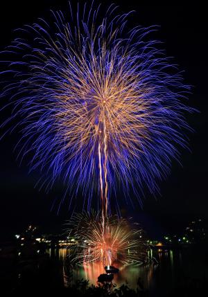 相生湾に咲くヒマワリ