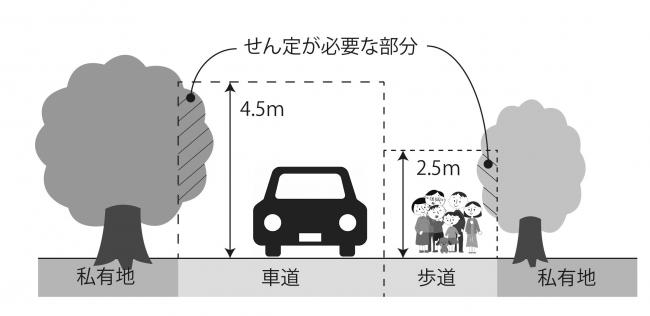 私有地から道路にはみ出している木の管理について
