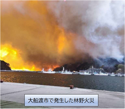 大船渡市で発生した林野火災